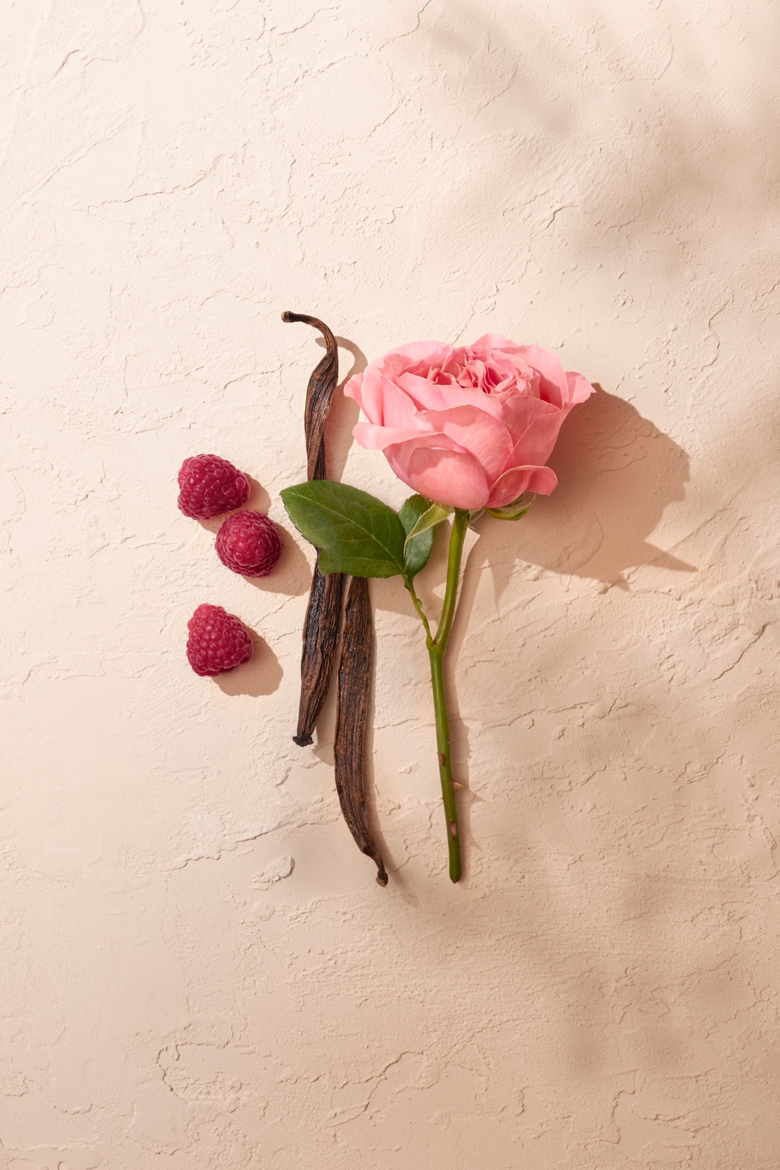 Rose Pompon | Luxury Floral Rose Perfume | Annick Goutal – Annick